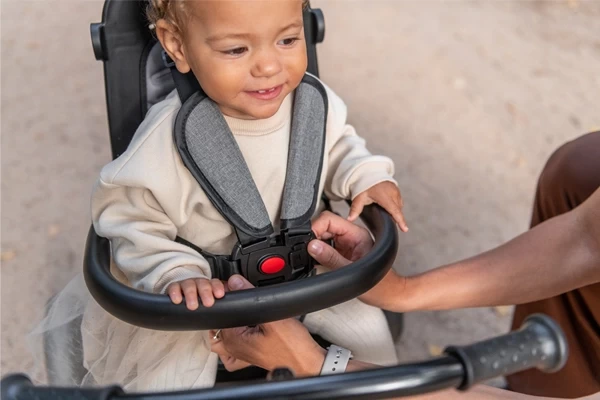 Veiligheidsriem en -beugel