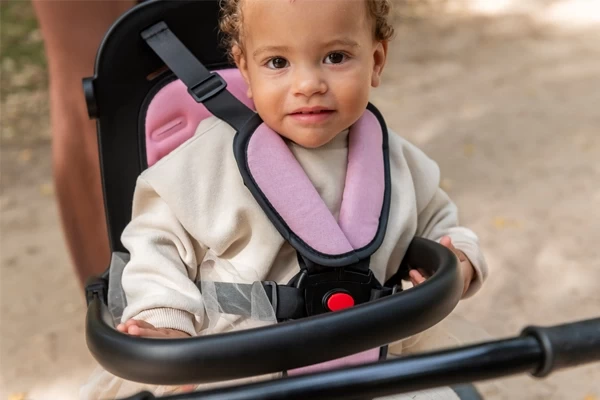 Veiligheidsriem en -beugel