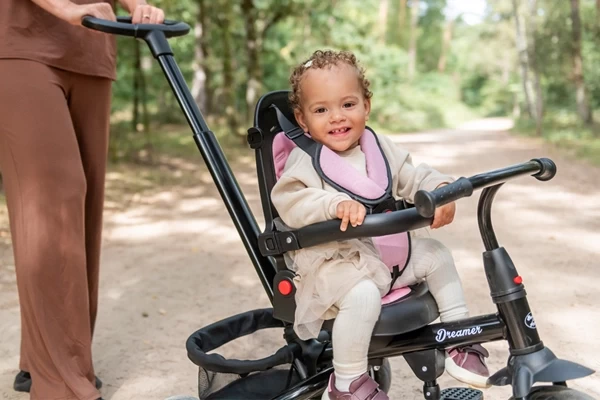 Driewieler met afneembare onderdelen