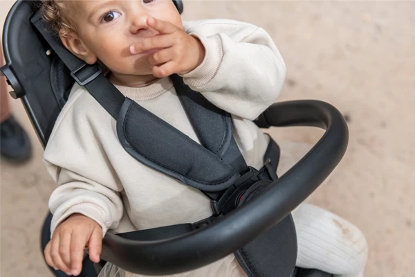 Veiligheidsriem en -beugel