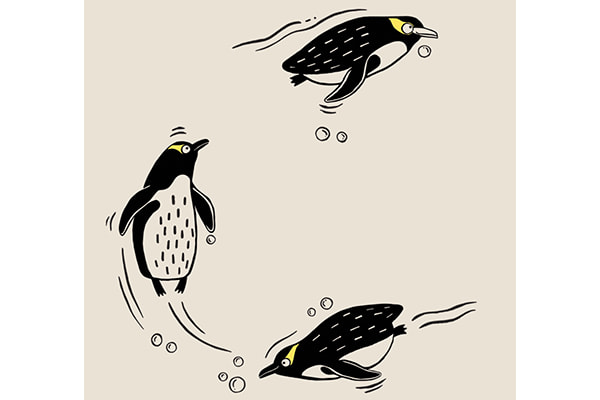 Speciale editie: Nieuw-Zeelandse geeloogpinguïn