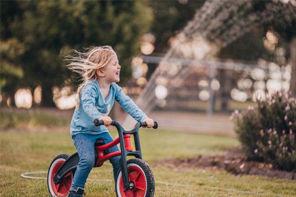 De Wishbonebike RE2 Red als tweewieler